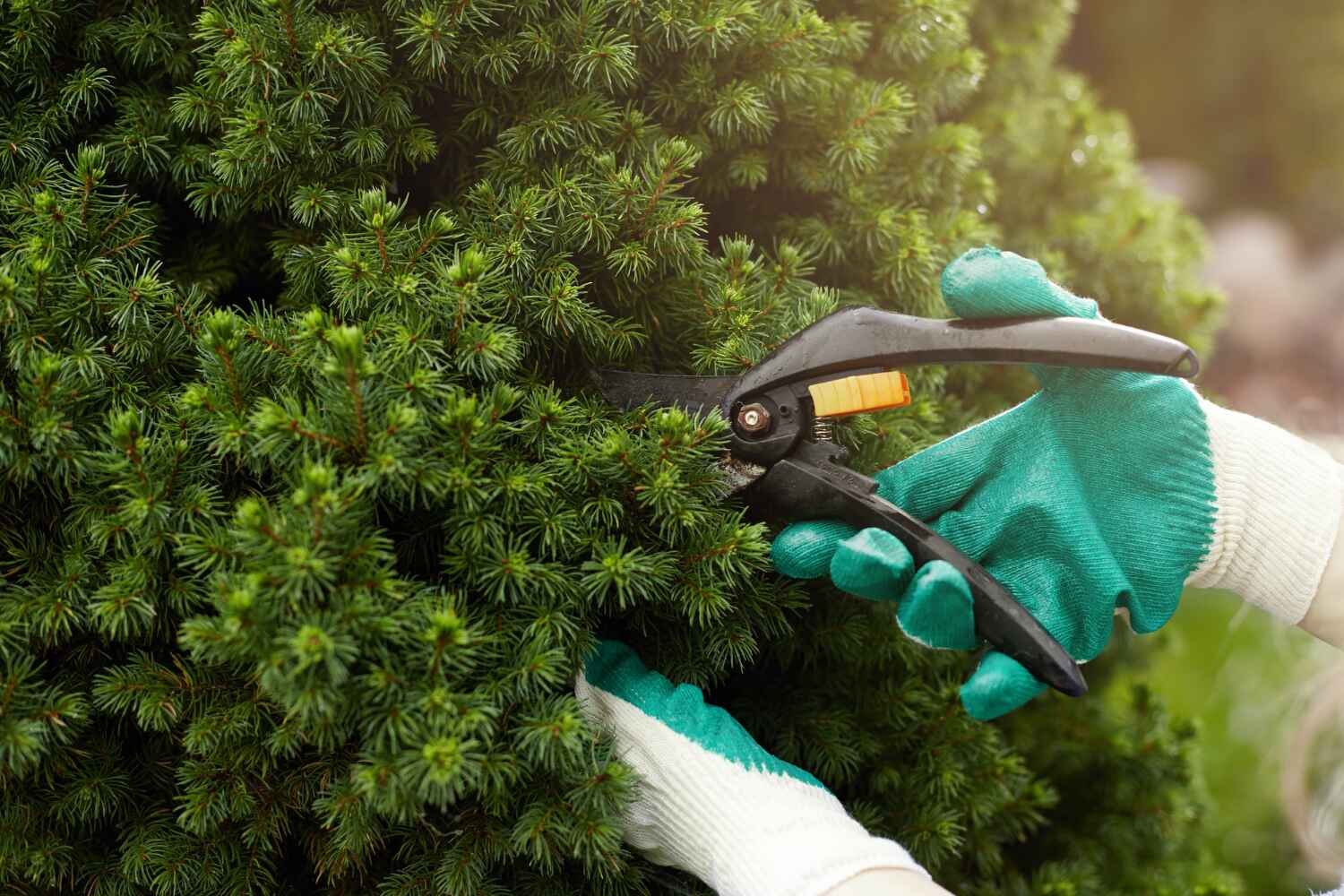  Peachtree Corners, GA TreeGuard Tree Service Pros